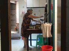 -孙奶奶葱包桧