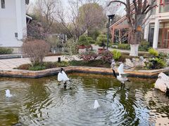 -广富林宰相府酒店·水云间