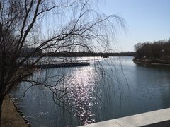 -大兴滨河森林公园