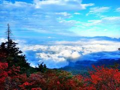 -富士山吉田線五合目