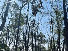 -千龙湖生态旅游度假区