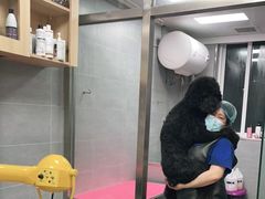 -宠福鑫康馨动物医院·骨科·眼科