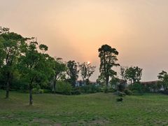 -上海崇明金茂凯悦酒店