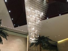 -常州环球恐龙城维景国际大酒店