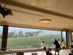 -帐篷客·溪龙茶谷度假酒店