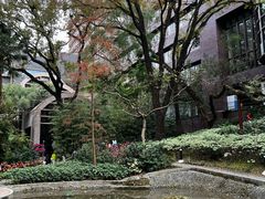 -香港大学