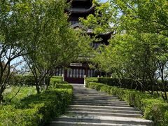 -上海海湾国家森林公园