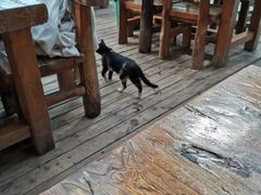 -龙达温泉生态城