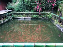 -乐山大佛风景名胜区乌尤寺南门-售票点