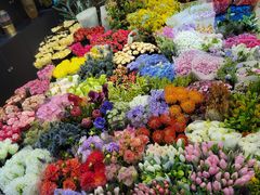 -双季花艺园艺市场(浦东店)