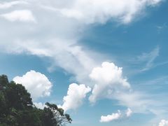 -外伶仃岛海鲜市场