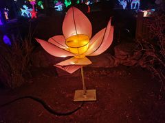 -南宫五洲植物乐园