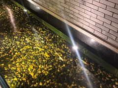 -晶采轩(虹桥路店)
