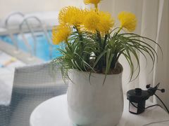 -台山颐和温泉城