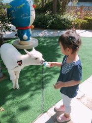 -萌宠亲子动物乐园(槐房万达店)