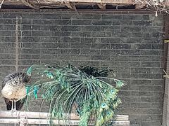 -罔极寺