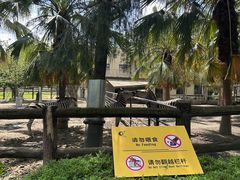 -成都动物园