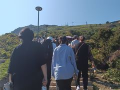 -大姆山草场