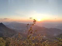 -武陵山森林公园