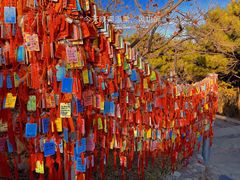 -香山公园