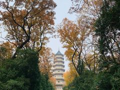 -灵谷景区
