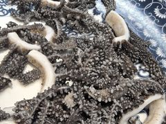 -北京老门框爆肚涮肉馆(凤城六路店)