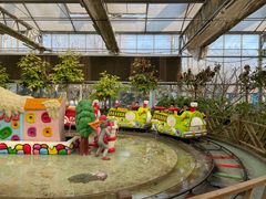 -南宫五洲植物乐园