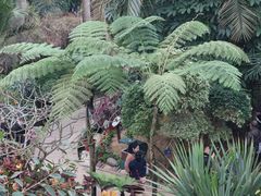 -南山植物园