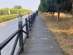 -树山生态村