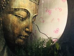 -忘忧草融合私房菜(红鼎国际店)