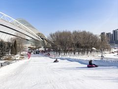 -沈阳奥体冰雪嘉年华