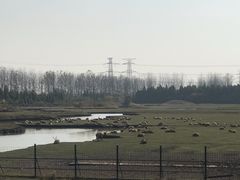 -溱湖国家湿地公园