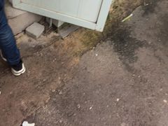 -龙门李家三旦羊肉汤馆