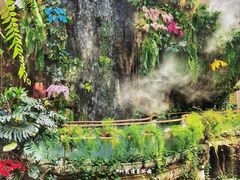-正佳雨林生态植物园