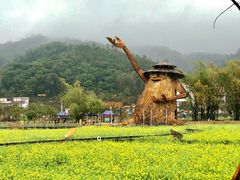 -红山村