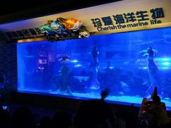 -成都浩海立方海洋公园