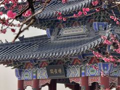 -梅花山(明孝陵内)