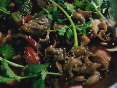 干锅鱼肚-坛南湾阿强农家乐.海鲜大排档老字号(福州地标美食店)
