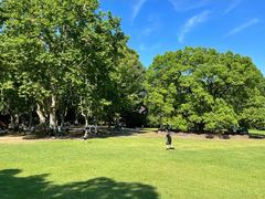 -上海共青森林公园