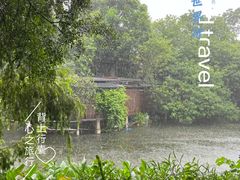 -荔湾湖公园