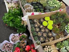 -循礼门鲜花花市(武汉循礼门店)