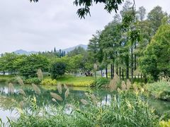 -四海公园(南山区)