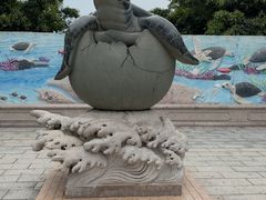 -广东惠东海龟国家级自然保护区