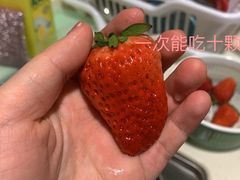 -PAGODA百果园(华发世纪城店)