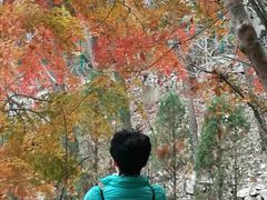 -崂山巨峰游览区