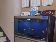 -艾维口腔(春江花月门诊部)