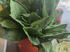-晓林火锅(安定门店)