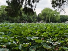 -莲池书院博物馆