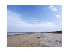 -日照海滨国家森林公园