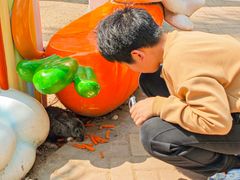 -灵玲国际马戏城